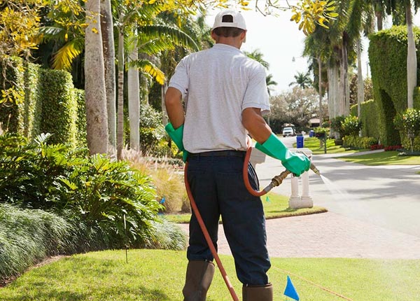 About Harriman NY Pest Control Pros